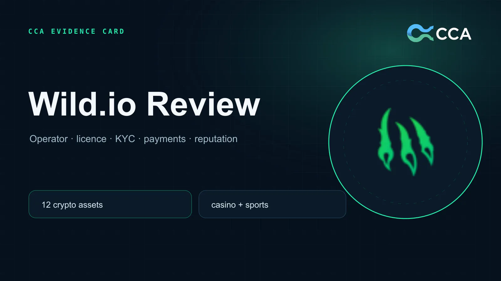 Wild.io casino interface used as a visual reference for this alternatives guide